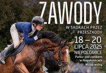 Niepołomice. W ten weekend trwają zawody konne w skokach przez przeszkody