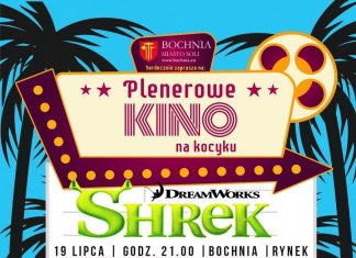 „Shrek” pod gołym niebem – w sobotę wieczorny seans na Rynku w Bochni