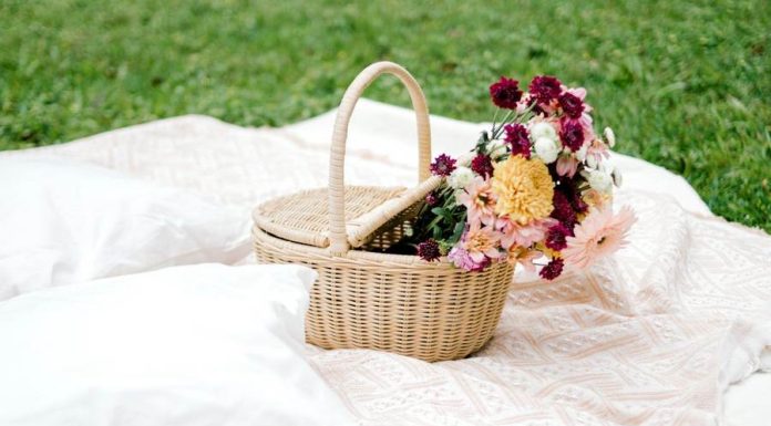 🔸 Jak stworzyć idealny klimat na działce, plaży czy pikniku?