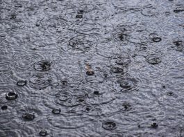 ⚠ Ostrzeżenie pogodowe dla regionu. Nadchodzą opady deszczu