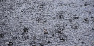 ⚠ Ostrzeżenie pogodowe dla regionu. Nadchodzą opady deszczu