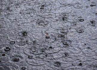 IMGW ostrzega: W niedzielę możliwe silne opady deszczu i burze w regionie