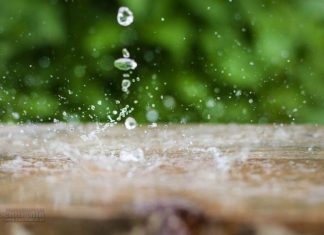 Dotacje na „Małopolską deszczówkę 2025” – wsparcie dla gmin z regionu