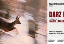 Niepołomice. Wernisaż „DARZ BÓR w obiektywie Magdy Langer” – już w najbliższy czwartek