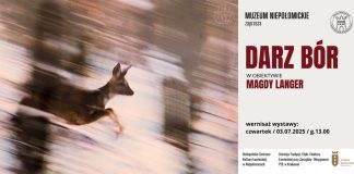 Niepołomice. Wernisaż „DARZ BÓR w obiektywie Magdy Langer” – już w najbliższy czwartek