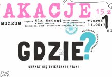 Wakacyjne zajęcia w bocheńskim muzeum: „Gdzie ukryły się zwierzaki i ptaki?”
