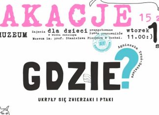 Wakacyjne zajęcia w bocheńskim muzeum: „Gdzie ukryły się zwierzaki i ptaki?”