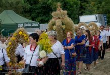 Trzciana. Powiatowe Święto Plonów i konkurs na wieniec dożynkowy – ZDJĘCIA