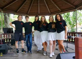 „Co nam w duszy gra…” – wieczór z muzyką na Plantach Salinarnych