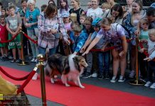Bochnia. Święto Ulicy Wolnica – pokaz mody, parada kundelków i koncerty – ZDJĘCIA