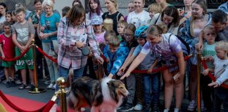 Bochnia. Święto Ulicy Wolnica – pokaz mody, parada kundelków i koncerty – ZDJĘCIA