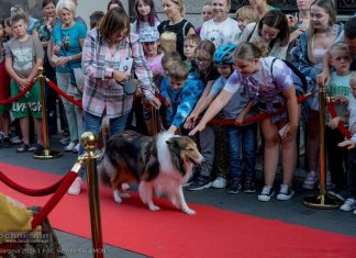 Bochnia. Święto Ulicy Wolnica – pokaz mody, parada kundelków i koncerty – ZDJĘCIA