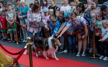 Bochnia. Święto Ulicy Wolnica – pokaz mody, parada kundelków i koncerty – ZDJĘCIA
