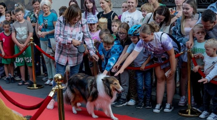 Bochnia. Święto Ulicy Wolnica – pokaz mody, parada kundelków i koncerty – ZDJĘCIA
