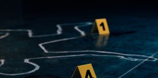 🔸 Analiza przestępstw czy ochrona państwa? Wybierz ścieżkę na studia II stopnia