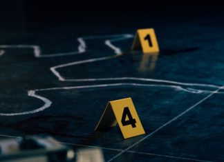 🔸 Analiza przestępstw czy ochrona państwa? Wybierz ścieżkę na studia II stopnia