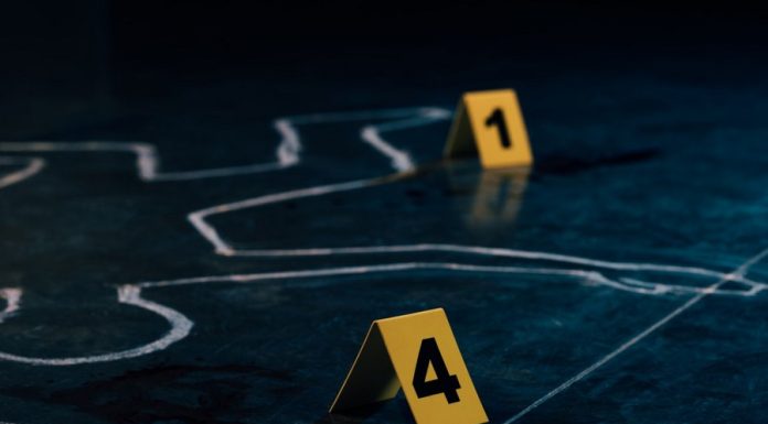 🔸 Analiza przestępstw czy ochrona państwa? Wybierz ścieżkę na studia II stopnia