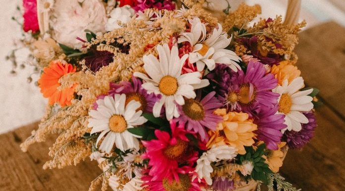 Warsztaty „Kwiaty polne, kłosy zbóż – tradycyjny bukiet zielny”