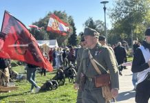 Trwają Pola Chwały w Niepołomicach. W niedzielę parada i „okazowanie wojska wszelakiego” – ZDJĘCIA