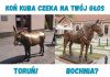 🔸 Koń Kuba na Plantach Salinarnych – nowym symbolem Bochni!