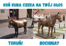 🔸 Koń Kuba na Plantach Salinarnych – nowym symbolem Bochni!