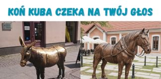 🔸 Koń Kuba na Plantach Salinarnych – nowym symbolem Bochni!