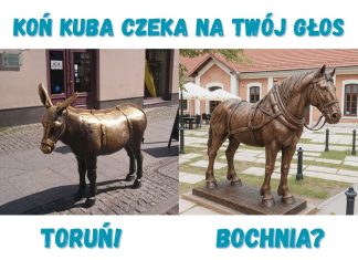 🔸 Koń Kuba na Plantach Salinarnych – nowym symbolem Bochni!