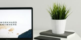 🔸 Czy warto inwestować w domenę lokalną czy globalną?