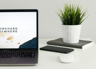 🔸 Czy warto inwestować w domenę lokalną czy globalną?