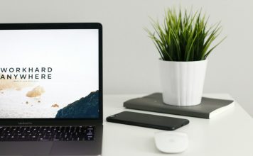 🔸 Czy warto inwestować w domenę lokalną czy globalną?