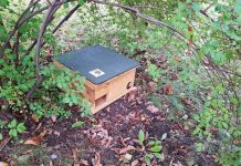 W Bochni stanęły pierwsze domki dla jeży