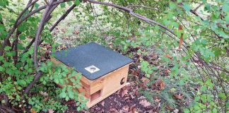 W Bochni stanęły pierwsze domki dla jeży