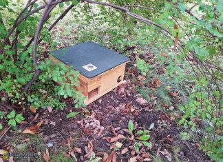 W Bochni stanęły pierwsze domki dla jeży