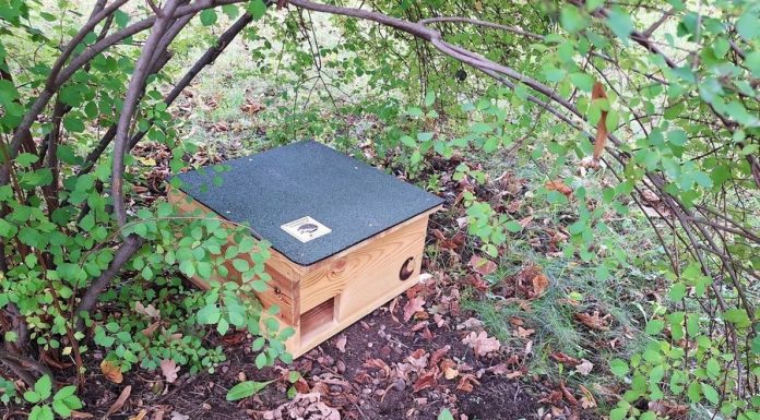 W Bochni stanęły pierwsze domki dla jeży