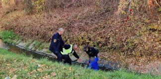 Bochnia. Mężczyzna wpadł do potoku Babica. Nietypowa interwencja straży miejskiej