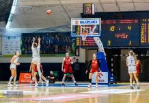 Twarda lekcja w Sosnowcu. Contimax MOSiR Bochnia bez szans z faworytem – ZDJĘCIA