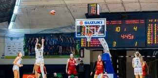 Twarda lekcja w Sosnowcu. Contimax MOSiR Bochnia bez szans z faworytem – ZDJĘCIA