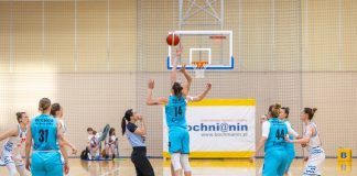 Koszykówka. Bochnia jedzie do Jeleniej Góry – czas na starcie beniaminków!