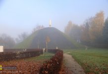 Na Kopcu Grunwaldzkim w Niepołomicach zakwitną biało-czerwone róże