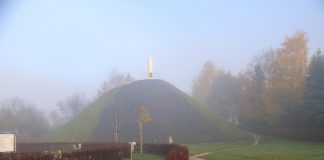 Na Kopcu Grunwaldzkim w Niepołomicach zakwitną biało-czerwone róże