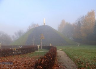 Na Kopcu Grunwaldzkim w Niepołomicach zakwitną biało-czerwone róże