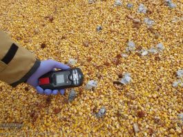 Nieznana substancja na pryzmie kukurydzy. Na miejscu strażacy i policja