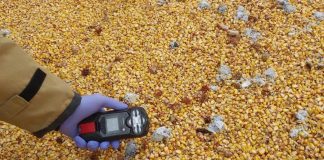 Nieznana substancja na pryzmie kukurydzy. Na miejscu strażacy i policja