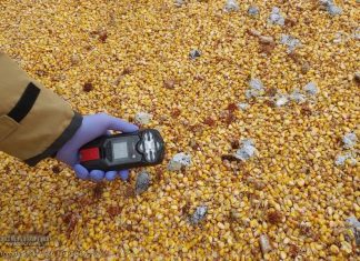 Nieznana substancja na pryzmie kukurydzy. Na miejscu strażacy i policja