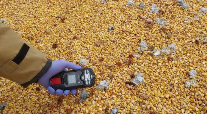 Nieznana substancja na pryzmie kukurydzy. Na miejscu strażacy i policja