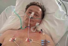 Rodzina walczy o życie Roberta Synowskiego. Potrzebny jest milion dolarów