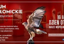 Niedziela. Światowy Dzień Sokolnictwa w Muzeum Niepołomickim