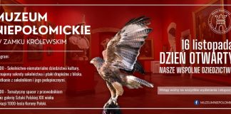 Niedziela. Światowy Dzień Sokolnictwa w Muzeum Niepołomickim