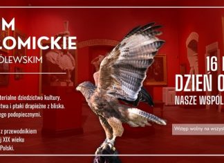 Niedziela. Światowy Dzień Sokolnictwa w Muzeum Niepołomickim