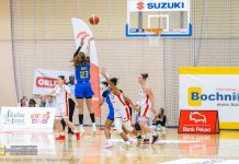 OBLK: Bochnia walczyła, ale Gdynia odjechała w trzeciej kwarcie – ZDJĘCIA, WIDEO